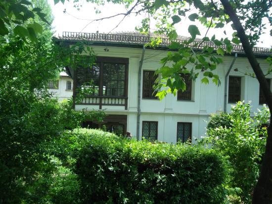 Museo Theodor Pallady